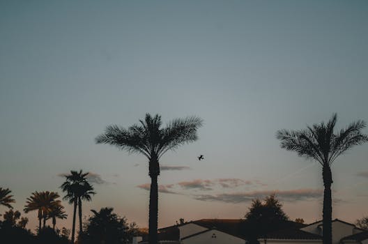 Chandler, AZ hero