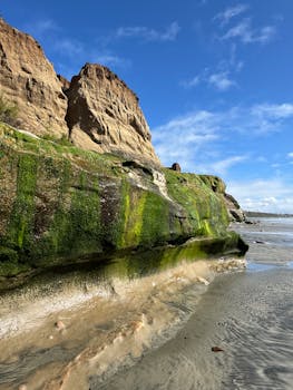 Carlsbad, CA services