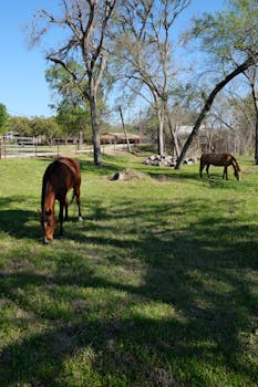 Sunnyvale, CA hero