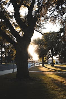 Modesto, CA office