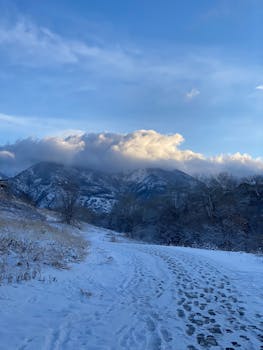 Ogden, UT services