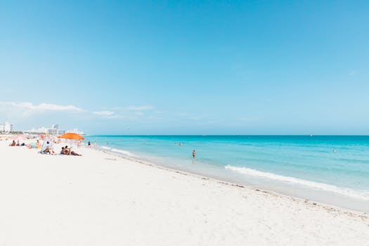 Miami Beach, FL services
