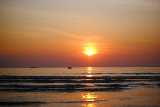 Sunrise, FL services