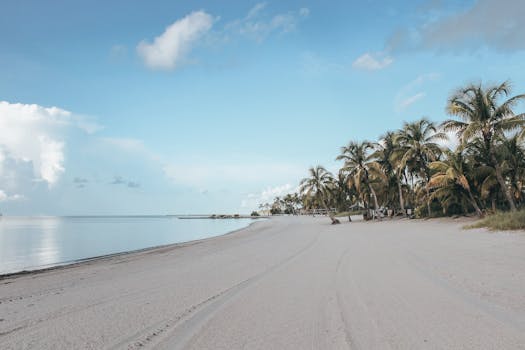 Key West, FL services