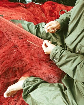 Fishers, IN services